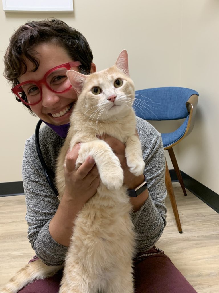 Anna Kelton, DVM is pictured with one of her many favorite feline patients