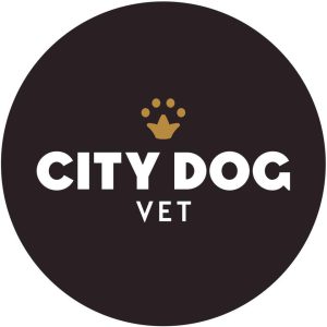 City Dog